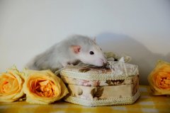 DSC_05hgio.jpg