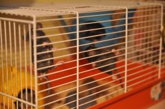 DSC_0355.JPG