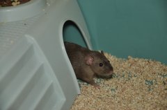 DSC_0443.JPG