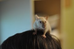 DSC_0015.JPG