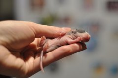 DSC_0302.JPG