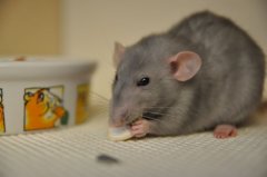 DSC_0.jpg