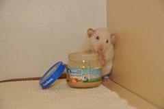 DSC_1029.JPG